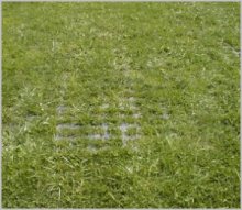 Solution - PERFO mats