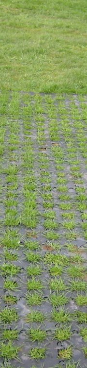 PERFO grass reinforcement